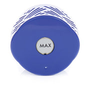 Dyson V6 Post Motor Filter