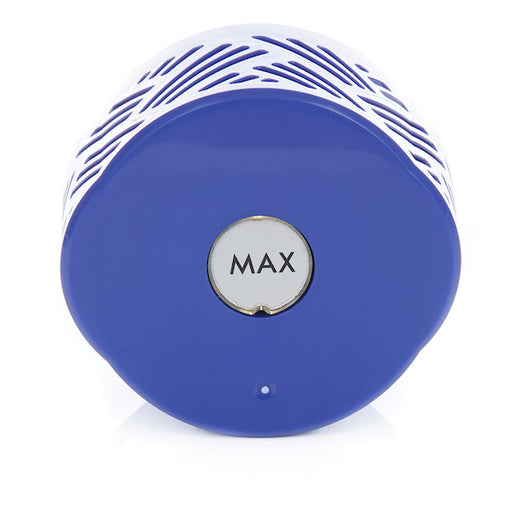 Dyson V6 VacWiz® Post Motor Replacement Filter